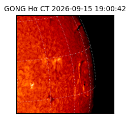 gong - 2026-09-15T19:00:42