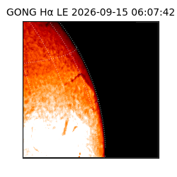 gong - 2026-09-15T06:07:42