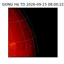 gong - 2026-09-15T08:00:22