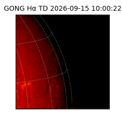 gong - 2026-09-15T10:00:22
