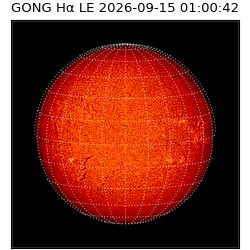 gong - 2026-09-15T01:00:42