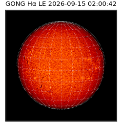 gong - 2026-09-15T02:00:42