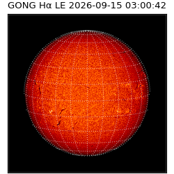 gong - 2026-09-15T03:00:42