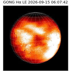 gong - 2026-09-15T06:07:42