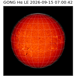 gong - 2026-09-15T07:00:42