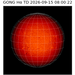 gong - 2026-09-15T08:00:22