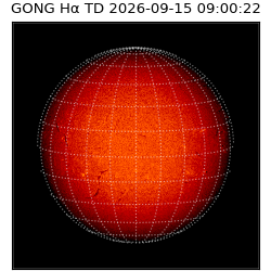 gong - 2026-09-15T09:00:22