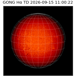 gong - 2026-09-15T11:00:22