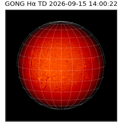 gong - 2026-09-15T14:00:22