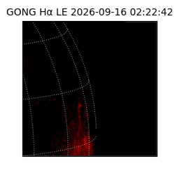 gong - 2026-09-16T02:22:42