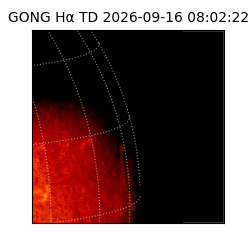 gong - 2026-09-16T08:02:22
