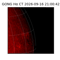 gong - 2026-09-16T21:00:42