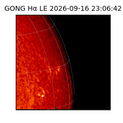 gong - 2026-09-16T23:06:42