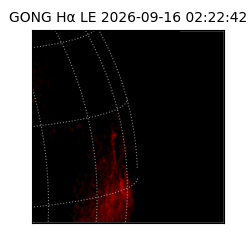gong - 2026-09-16T02:22:42