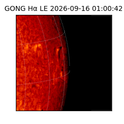 gong - 2026-09-16T01:00:42