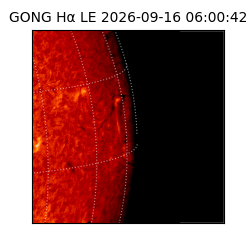 gong - 2026-09-16T06:00:42
