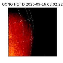 gong - 2026-09-16T08:02:22