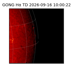 gong - 2026-09-16T10:00:22