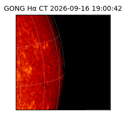 gong - 2026-09-16T19:00:42