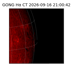 gong - 2026-09-16T21:00:42