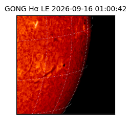 gong - 2026-09-16T01:00:42