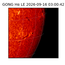 gong - 2026-09-16T03:00:42