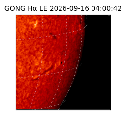 gong - 2026-09-16T04:00:42