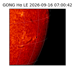 gong - 2026-09-16T07:00:42