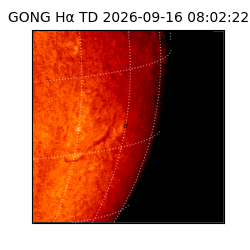 gong - 2026-09-16T08:02:22