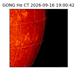 gong - 2026-09-16T19:00:42