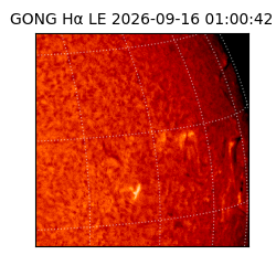 gong - 2026-09-16T01:00:42