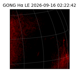 gong - 2026-09-16T02:22:42