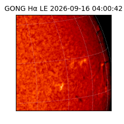 gong - 2026-09-16T04:00:42