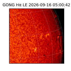 gong - 2026-09-16T05:00:42