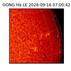 gong - 2026-09-16T07:00:42