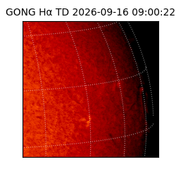 gong - 2026-09-16T09:00:22