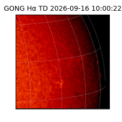 gong - 2026-09-16T10:00:22