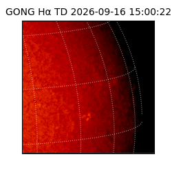 gong - 2026-09-16T15:00:22