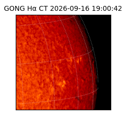gong - 2026-09-16T19:00:42