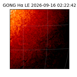 gong - 2026-09-16T02:22:42