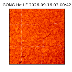 gong - 2026-09-16T03:00:42