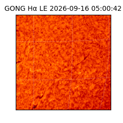 gong - 2026-09-16T05:00:42