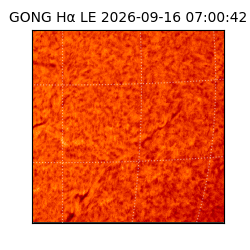 gong - 2026-09-16T07:00:42