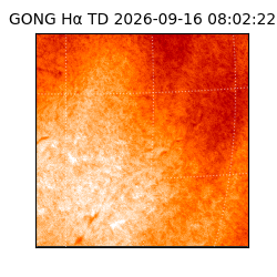 gong - 2026-09-16T08:02:22