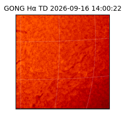 gong - 2026-09-16T14:00:22