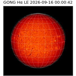 gong - 2026-09-16T00:00:42