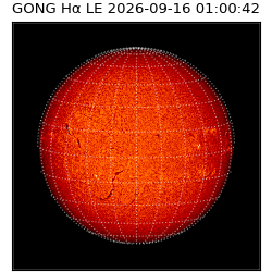 gong - 2026-09-16T01:00:42