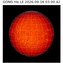 gong - 2026-09-16T03:00:42