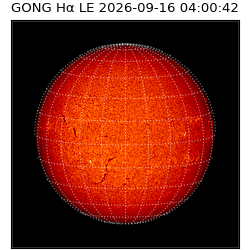 gong - 2026-09-16T04:00:42