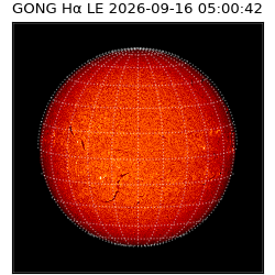 gong - 2026-09-16T05:00:42
